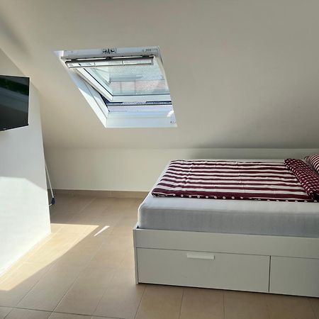 1 Zimmerwohnung In Koblenz Koblenz  Eksteriør bilde
